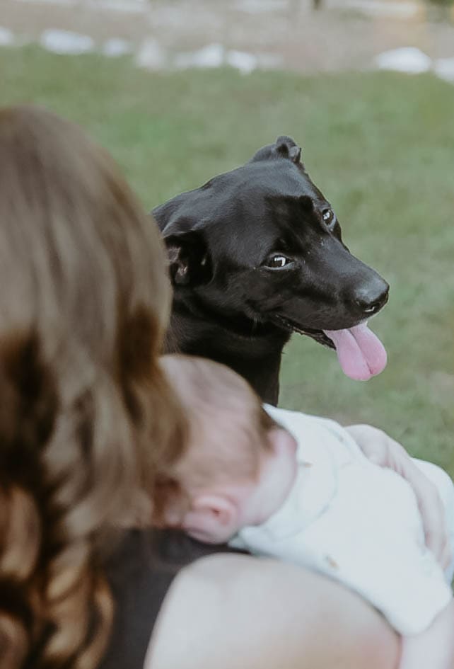 documentary styled moment of mother hold son during outdoor newborn session, with black lab dog taking in and watching mom with her baby. by georgia family and wedding photographer kattie jackson 